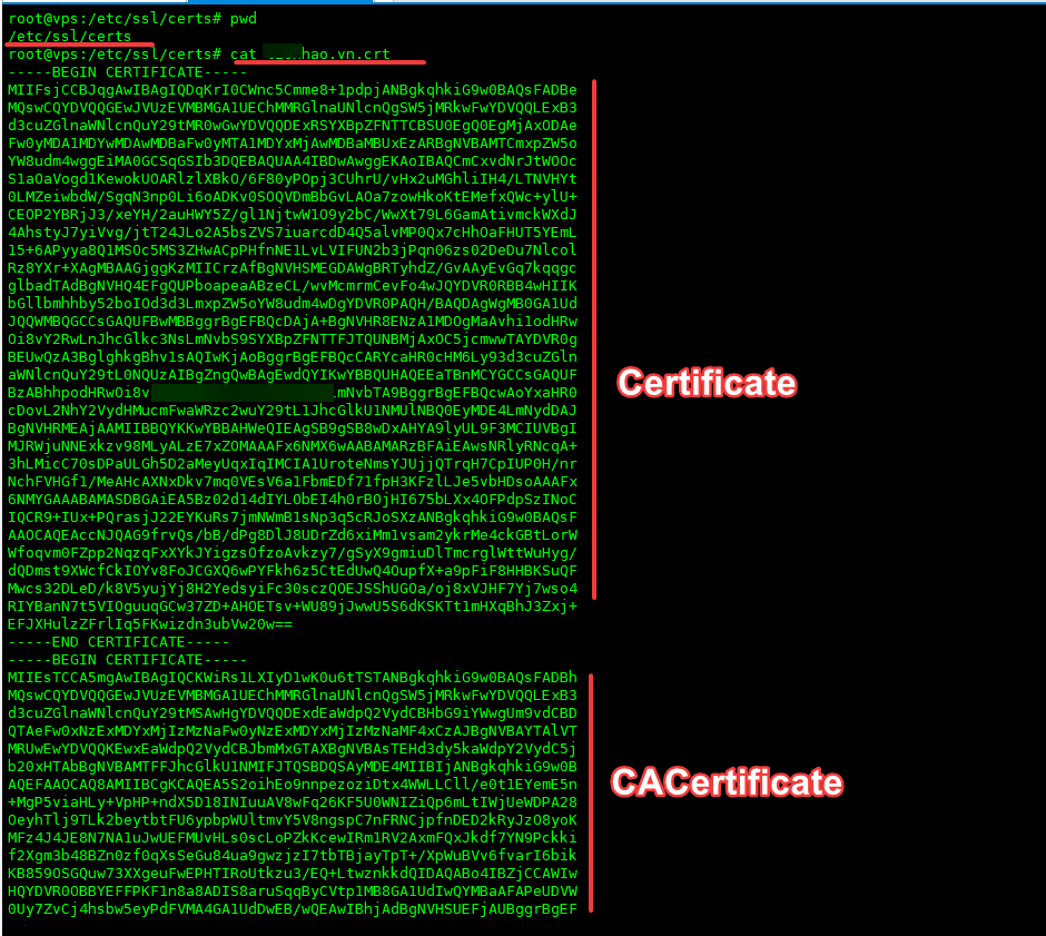 setup ssl odoo